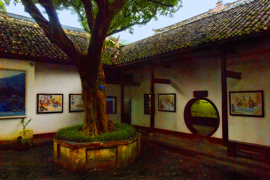 Courtyard Tree
